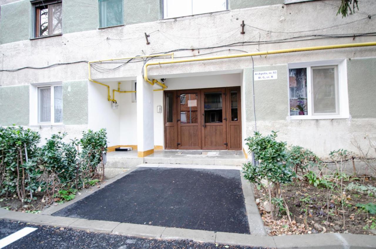 Miha modern&central apartament Arad Exterior foto