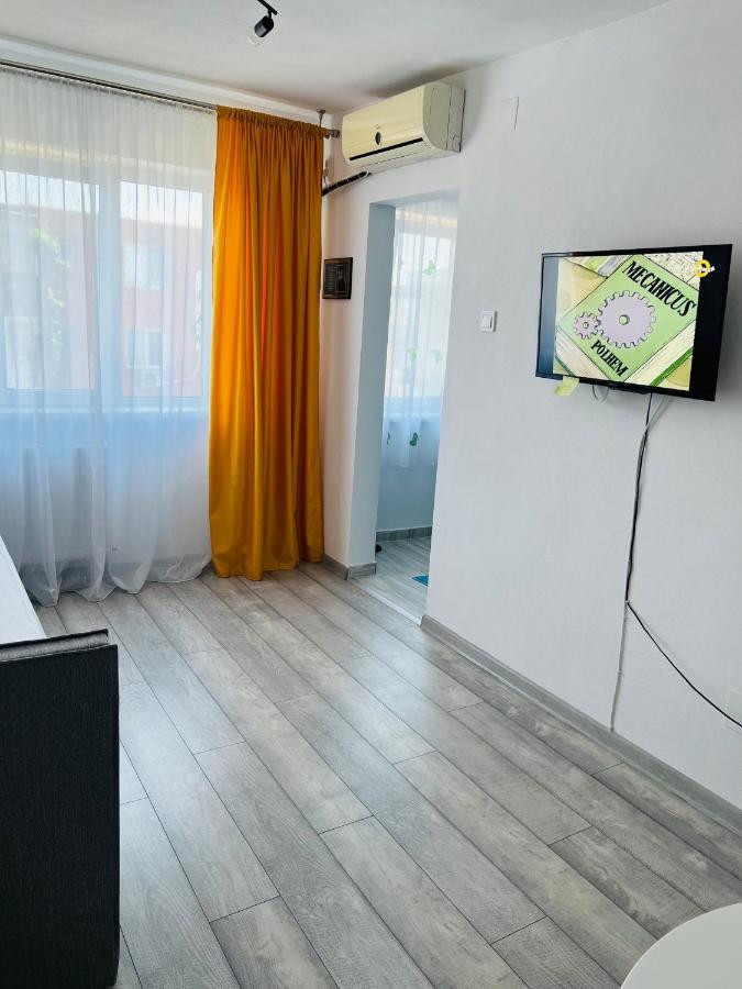 Miha modern&central apartament Arad Exterior foto